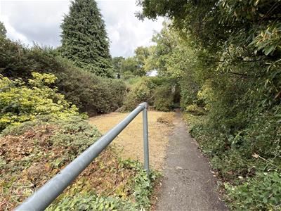 Picture 24